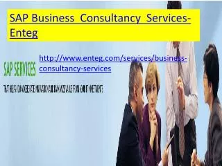 Enteg SAP Business Consultancy Services