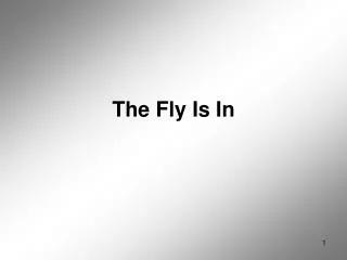 The Fly Is In