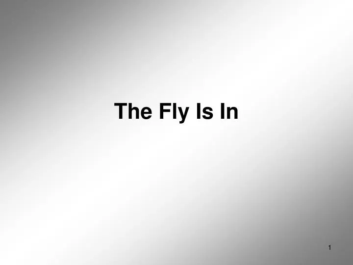 the fly is in