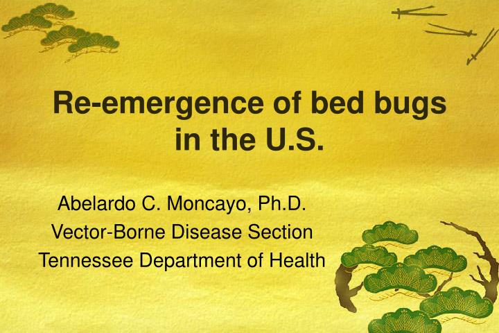 re emergence of bed bugs in the u s
