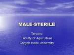 MALE-STERILE - slide 1