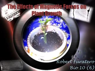 The Effects of Magnetic Forces on Plant Growth