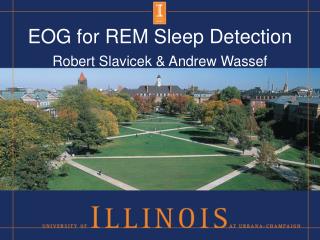 EOG for REM Sleep Detection