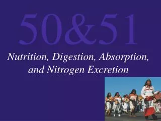 Nutrition, Digestion, Absorption, and Nitrogen Excretion