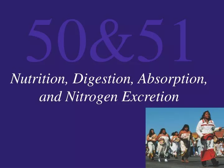 nutrition digestion absorption and nitrogen excretion