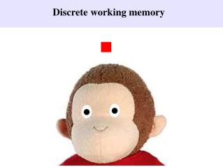 Discrete working memory