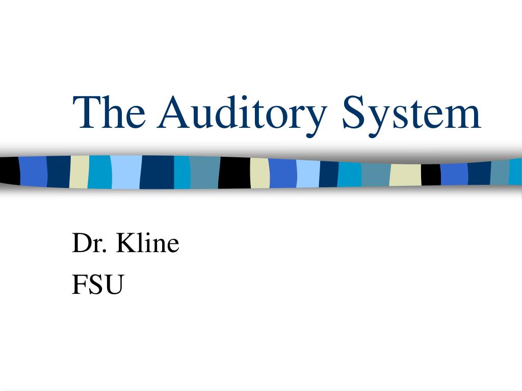 PPT - The Auditory System PowerPoint Presentation, free download - ID ...