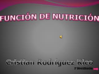 FUNCIÓN DE NUTRICIÓN