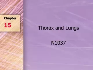 Thorax and Lungs N1037