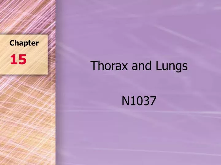thorax and lungs n1037