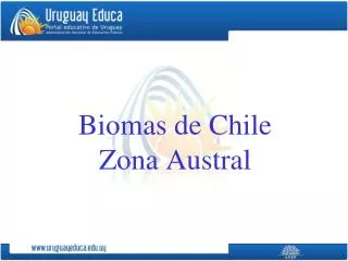 Biomas de Chile Zona Austral