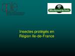 Insectes protégés en Région Ile-de-France - slide 1