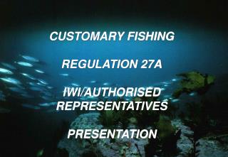 CUSTOMARY FISHING REGULATION 27A IWI/AUTHORISED REPRESENTATIVES PRESENTATION