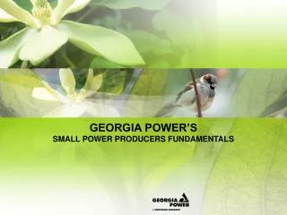 GEORGIA POWER’S SMALL POWER PRODUCERS FUNDAMENTALS