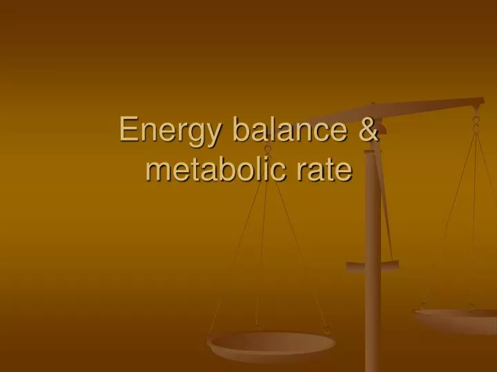 energy balance metabolic rate