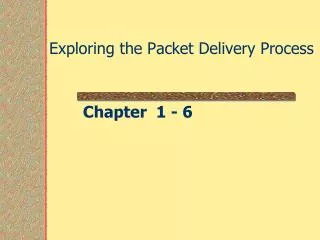 Exploring the Packet Delivery Process