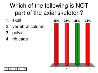 Which of the following is NOT part of the axial skeleton?