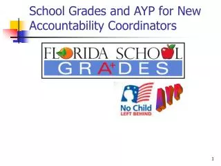 School Grades and AYP for New Accountability Coordinators