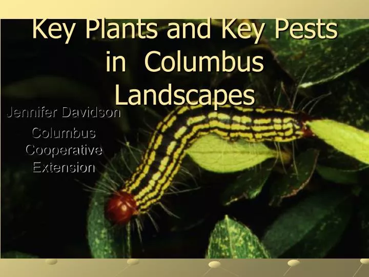 key plants and key pests in columbus landscapes