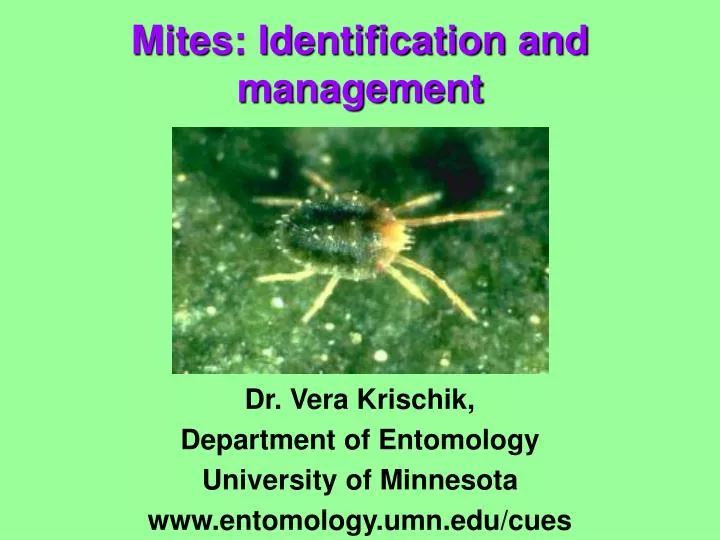 dr vera krischik department of entomology university of minnesota www entomology umn edu cues