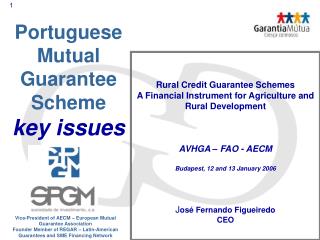 Portuguese Mutual Guarantee Scheme key issues