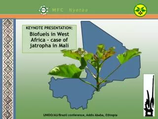 KEYNOTE PRESENTATION: Biofuels in West Africa - case of jatropha in Mali