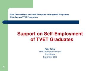 Ethio German Micro and Small Enterprise Development Programme Ethio-German TVET Programme
