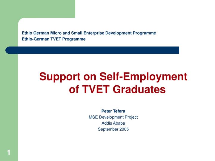 ethio german micro and small enterprise development programme ethio german tvet programme