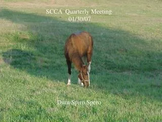 SCCA Quarterly Meeting 01/30/07