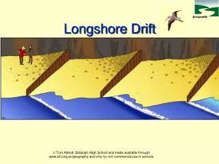Longshore Drift