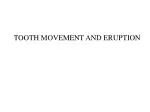 TOOTH MOVEMENT AND ERUPTION