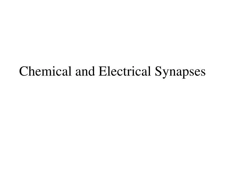 chemical and electrical synapses