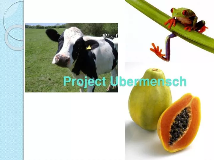 project ubermensch