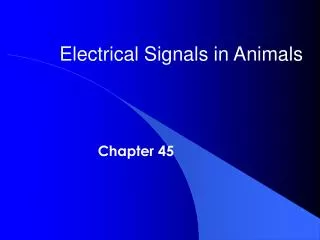 Electrical Signals in Animals