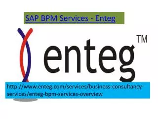 SAP BPM Services-Enteg