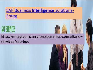 SAP Business Objects Services-Enteg