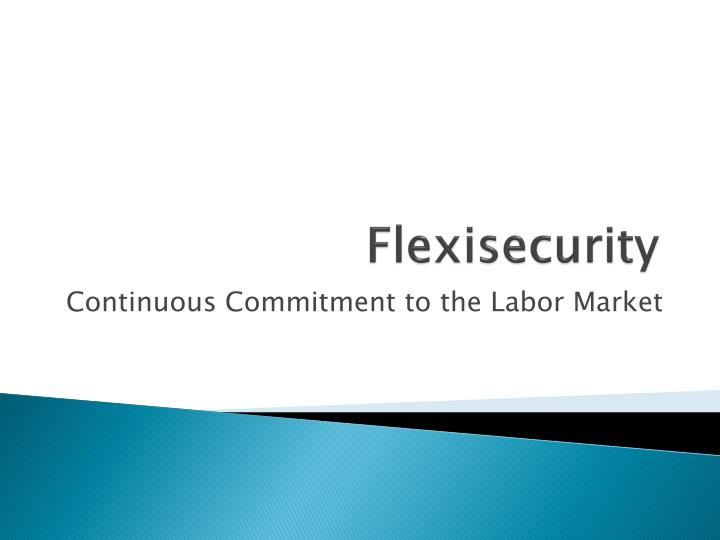 flexisecurity