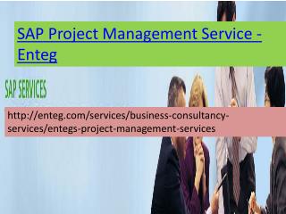 SAP Project Management Services-Enteg
