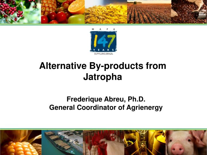 alternative by products from jatropha