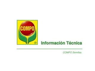 informaci n t cnica