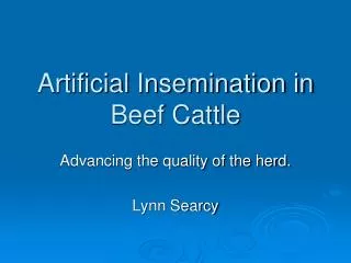Artificial Insemination in Beef Cattle