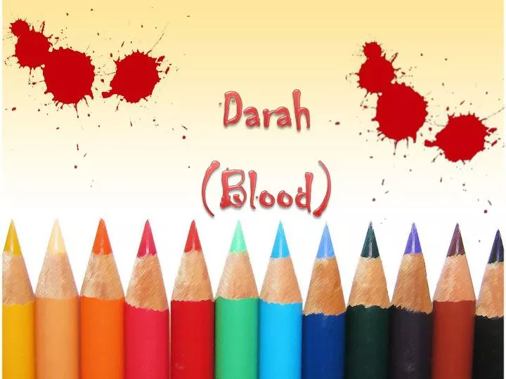 darah blood