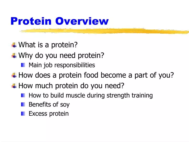 protein overview