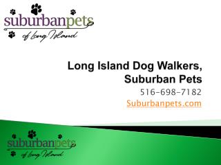 Long Island Dog Walkers, Suburban Pets