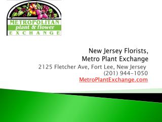 New Jersey Florist, Metro Plant Exchange