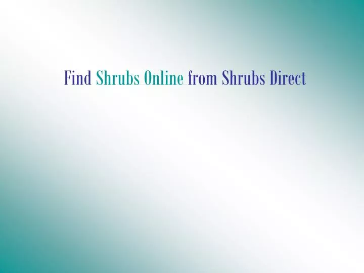 find shrubs online from shrubs direct