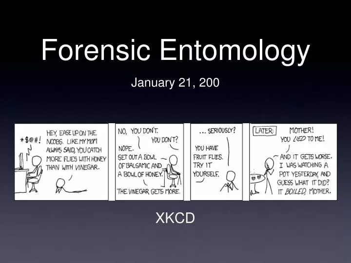 forensic entomology