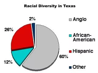 Racial Diversity in Texas
