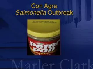 Con Agra Salmonella Outbreak