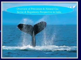 Overview of Petroleum &amp; Natural Gas Sector &amp; Regulatory Perspective in India